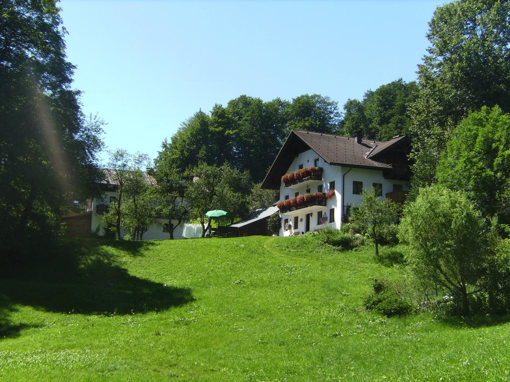 Bauernhof Familie Knoblechner Villa Nussdorf am Attersee Phòng bức ảnh