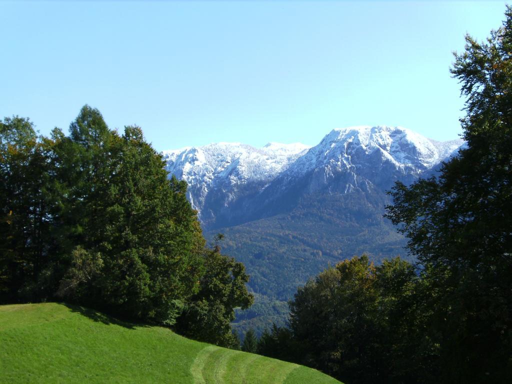 Bauernhof Familie Knoblechner Villa Nussdorf am Attersee Phòng bức ảnh