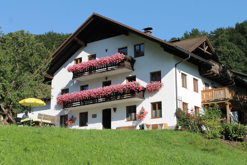 Bauernhof Familie Knoblechner Villa Nussdorf am Attersee Phòng bức ảnh